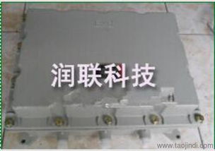 上海防爆不銹鋼配電箱與防腐配電柜 產(chǎn)品設(shè)計(jì)與系統(tǒng)定價(jià)全解析